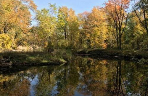 Cabin Surrounded by Sublime Nature near Lake Huron, Michigan - Foto 11