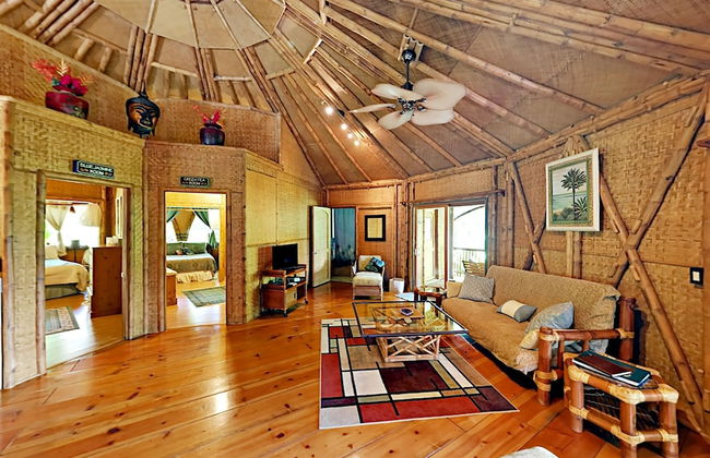 Hawaiian Dream Temple - Foto 7