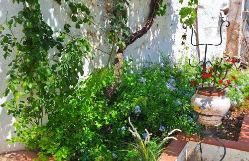 Casa Cor do Vinho - Foto 32