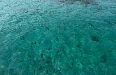 Loft Refúgio - Foto 35