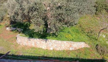 παραθαλασσιο σπιτι στην εξοχη - Foto 4