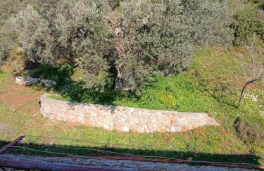 παραθαλασσιο σπιτι στην εξοχη - Foto 4