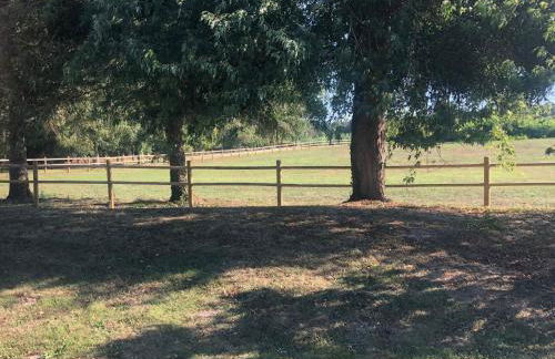Évasion champêtre : Maison avec piscine, tennis, et étang au cœur de 50 hectares de forêt - FR-1-410-307 - Photo 34