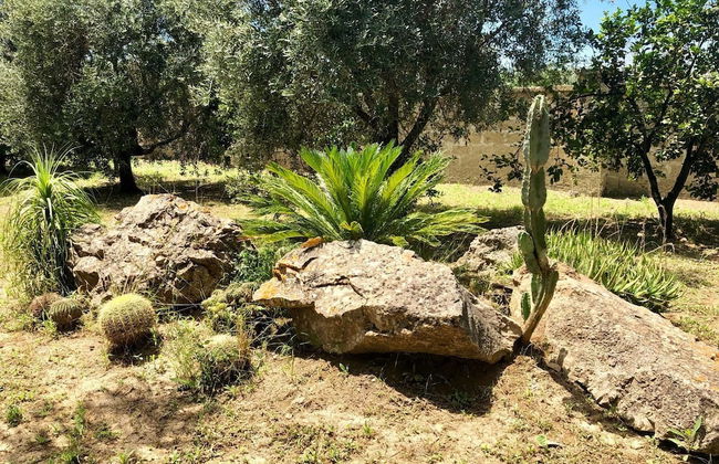 Affittacamere Paduli Piani - Photo 56