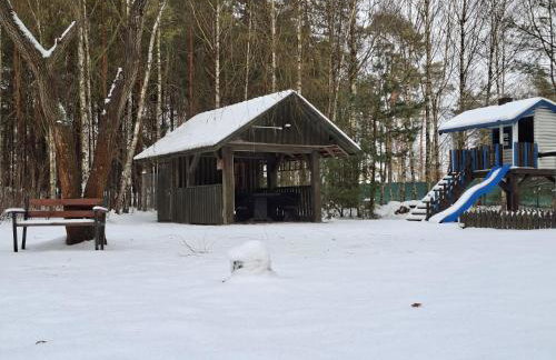 Dom Pod Brzozami Lipinki Bory Tucholskie basen - psy, koty mile widziane! - Photo 47
