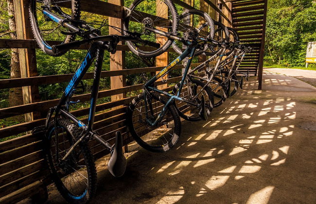 Happy Days Afan Forest - Foto 23