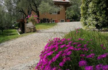 Cà Framari - Casa Vacanze - Foto 23