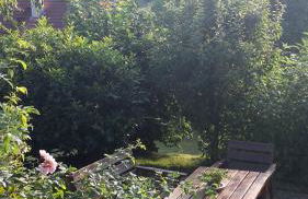 Ferienhaus Berg.erleben - Foto 16