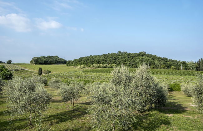 Residence Fontanelle - Foto 64