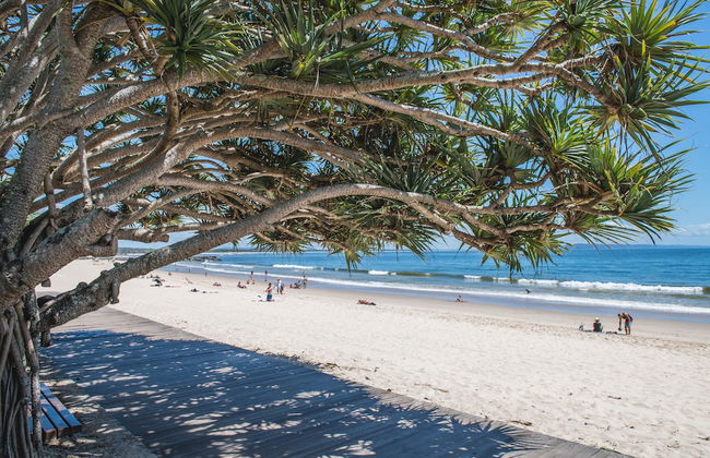 Saks on Hastings - Foto 66