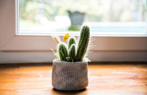 Errotazar apartamento rural P - Foto 15