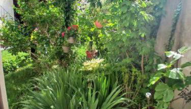 Appart Rez de jardin - Foto 3