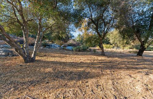 Lupine Landing - Foto 62