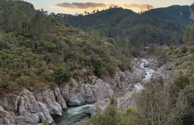 Migone de Sampolo - Foto 3