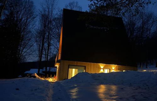 Modern A-Frame Catskills Hot Tub & Fireplace - Foto 18