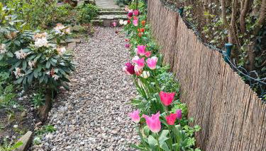 Tiny House - Kleines Glück auf dem Ostedeich - Foto 3, Garden view
