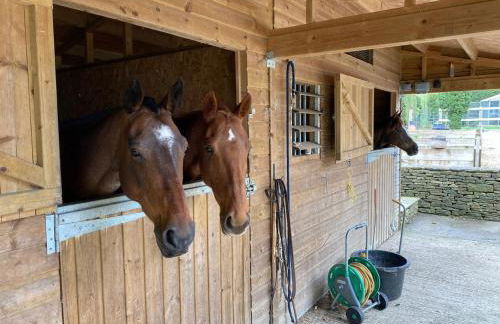 Tranquil cottage in heart of Cotswolds - Foto 9