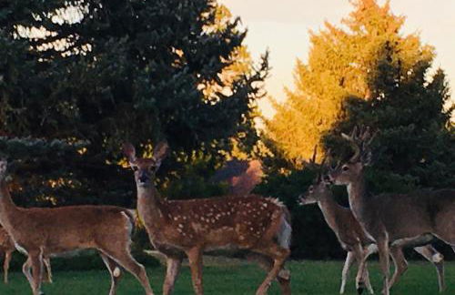 Priceless Black Hills View - Foto 41