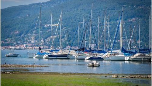 The Gulf Villa - Lago Maggiore - Foto 2, Garden