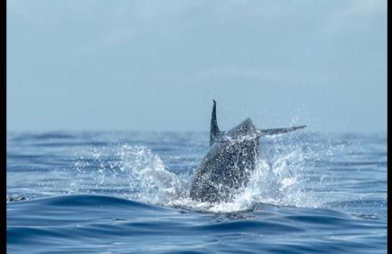 Casa Rural La Tinta - Foto 10