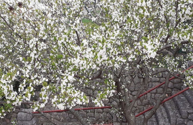 Apartments Rudi - One Bedroom Apartmen With Terrace and Sea View - Foto 13