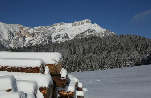 Chalet Laila - Foto 19