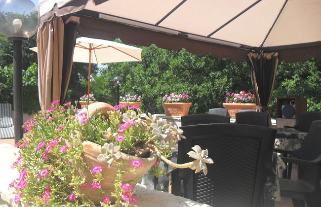 Il Querceto - B&B e Appartamenti Vacanze - Foto 73