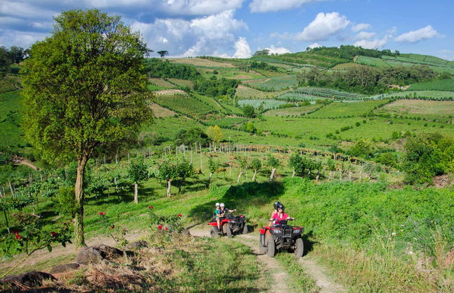 Tour en quad por el Vale dos Vinhedos - Foto 8