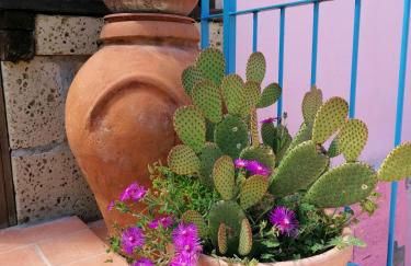 Agriturismo Campolungo - Foto 38