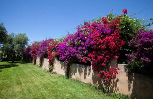 Masseria Li Foggi - Foto 72