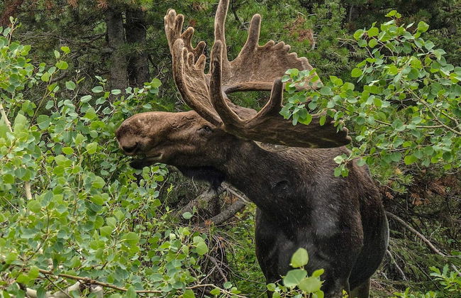 4 Person Holiday Home in Braas - Foto 3