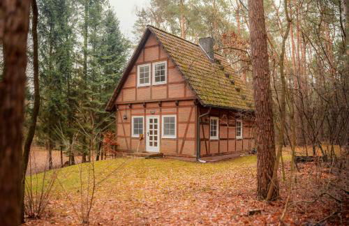 Half-Timbered House In The Middle Of The Forest - Foto 1