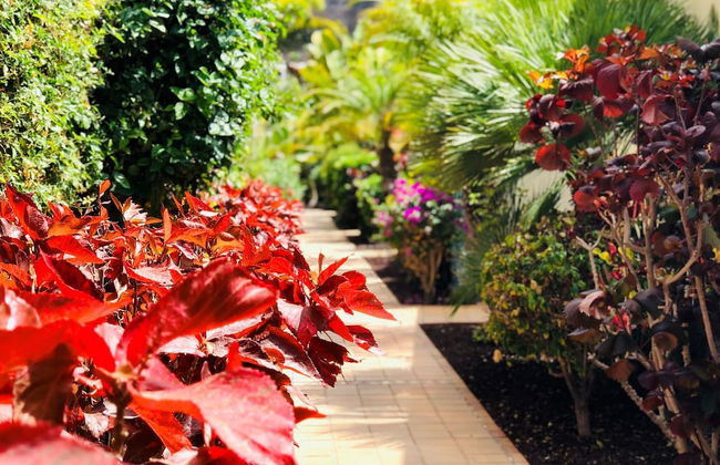 Holiday Club Playa Amadores - Foto 43