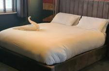 The Quarters - Foto 12