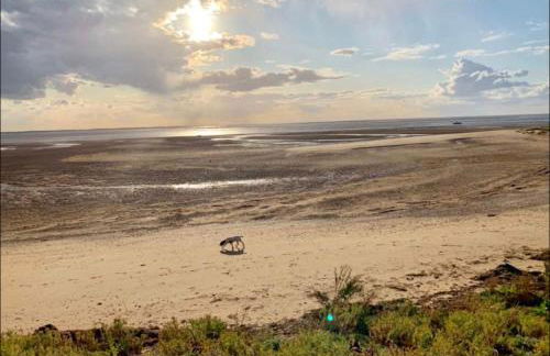 A unique, off-grid Eco Friendly Beach House. - Foto 53