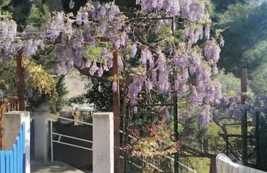 VERDON GRAN VALA 2 les pieds dans l'eau - Foto 8