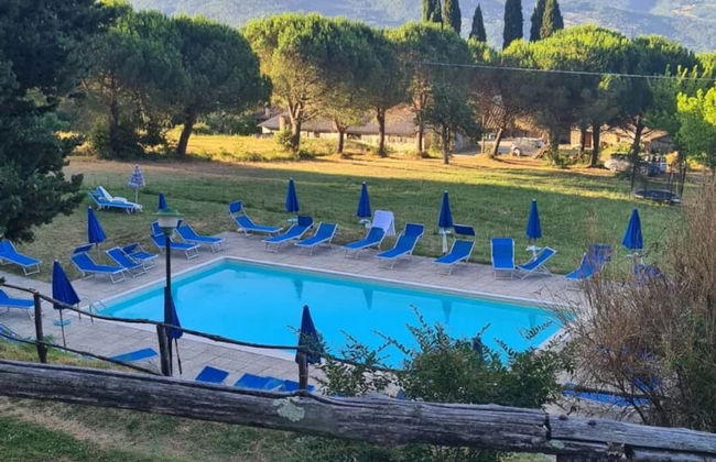 Fattoria di Cintoia - Photo 1