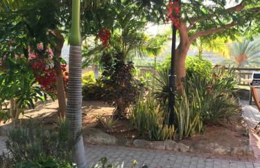 Suecia Villa Opal Anfi Tauro - Foto 57