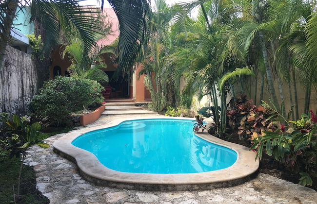 Tranquil Tropical Oasis in the Historic Center - Foto 10