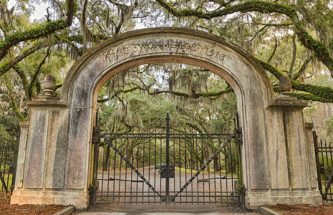 Excursión a Wormsloe y el cementerio Bonaventure - Foto 6