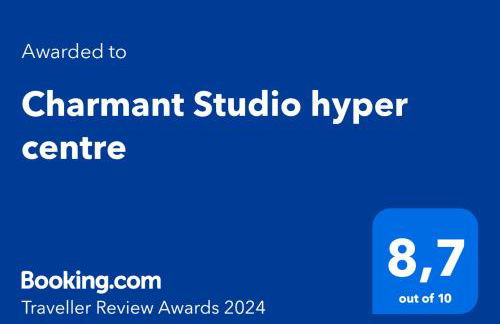 Au 15 - Charmant Studio hyper centre - Foto 11