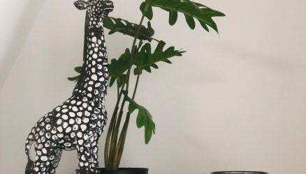 LE GITE DE LA GIRAFE CENTRE VILLE LOUVIERS - Foto 2