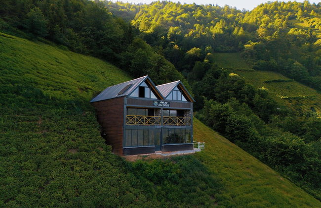 Relax Dağ Evleri - Foto 10