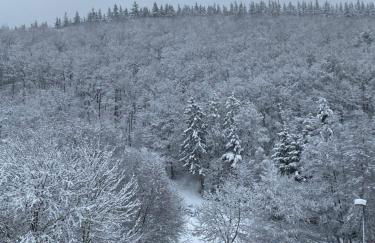 Ferienwohnung Eschbach Hof am Nürburgring - Foto 9