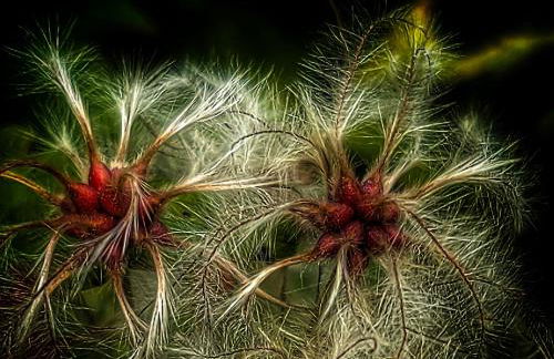 Casa rural Quevedo - Foto 97