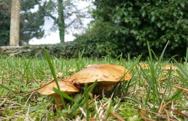 Country House Santa Felicita la Paterna - Foto 35