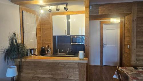 Appartement 2 pièces au milieu des chalets. Grande Terrasse Orientée Sud - Foto 5