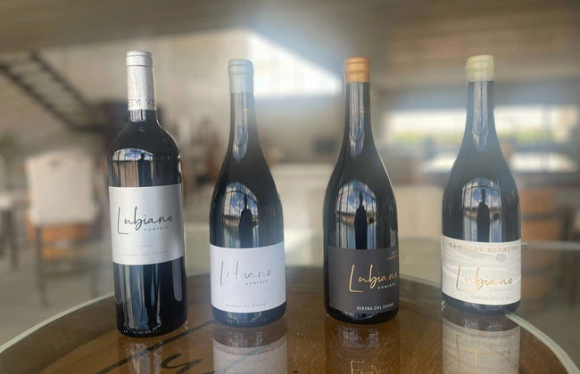 Dominio Lubiano Winery Tour - Photo 8