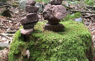 Schwarzwald Ferienwohnung - Foto 31