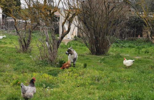La Petite Maison - Foto 29